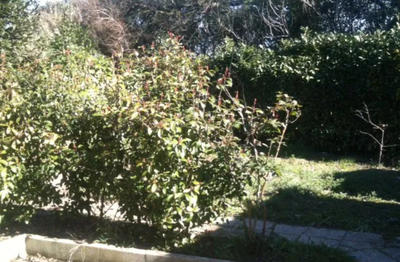 Studio - 16 m² - 1 pièce