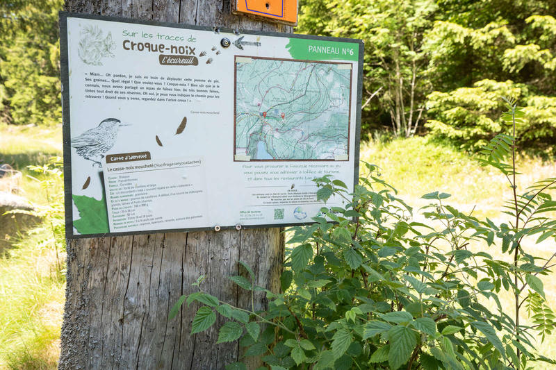 Jeu de piste - Sur les traces de Croque-Noix