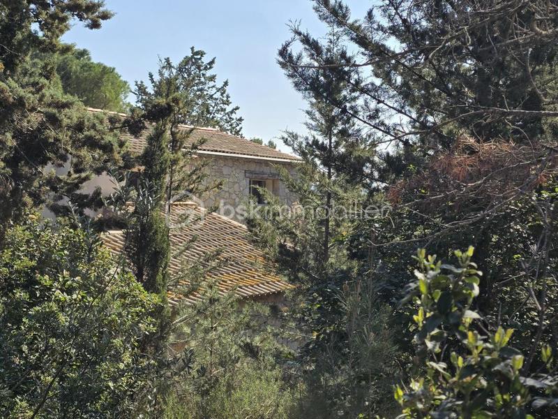 Mas - 195 m² - 7 pièces