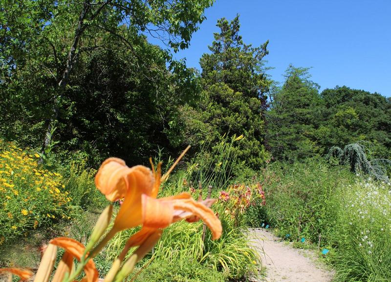 Visite guidée - Jardin Botanique