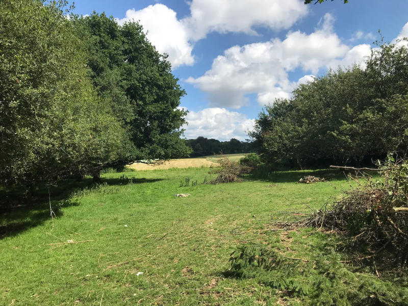 Propriété - 286 m² - 12 pièces