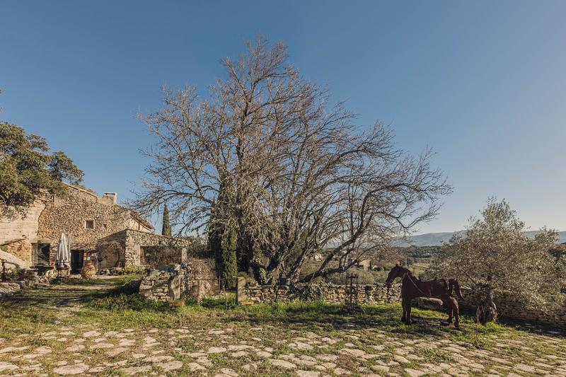 Maison en pierre - 215 m² - 7 pièces