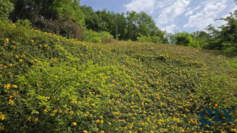 Maison ancienne - 94 m² - 4 pièces