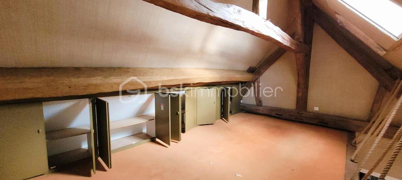 Hôtel particulier - 440 m² - 14 pièces