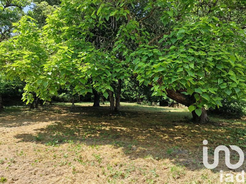 Maison - 220 m² - 8 pièces