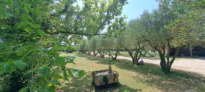 Propriété - 286 m² - 9 pièces