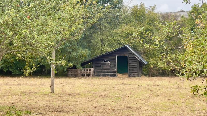 Maison - 124 m² - 6 pièces