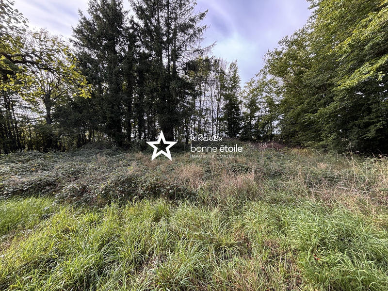 Maison - 330 m² - 14 pièces