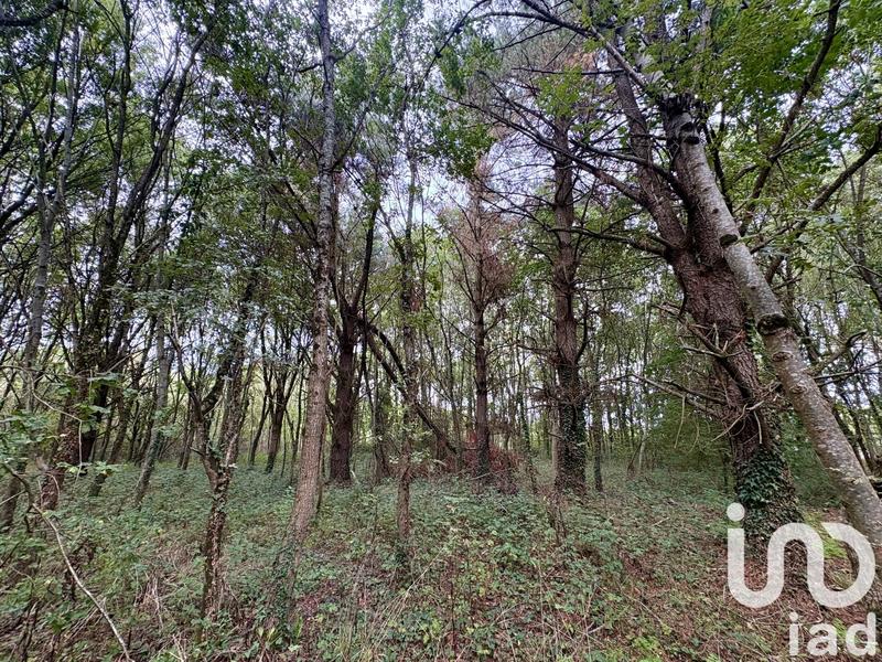 Terrain - 44 521 m²