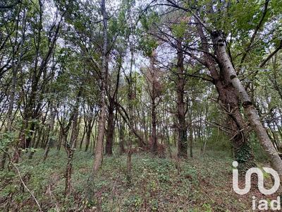 Terrain - 44 521 m²