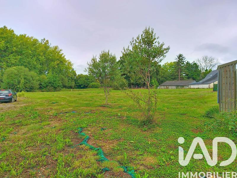 Maison - 150 m² - 4 pièces