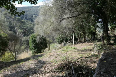 Terrain constructible - 2 000 m²