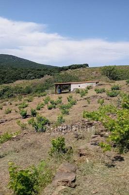 Terrain - 8 000 m²