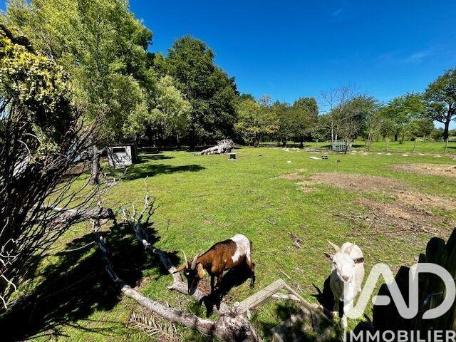 Maison de campagne - 111 m² - 5 pièces