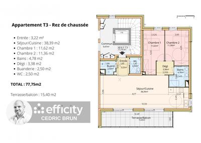 Appartement - 77 m² - 4 pièces