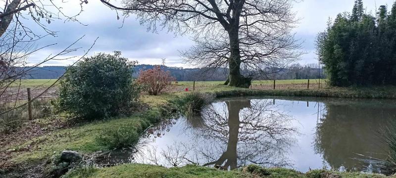 Hangar - 325 m² - 2 pièces