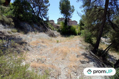 Terrain - 10 000 m²