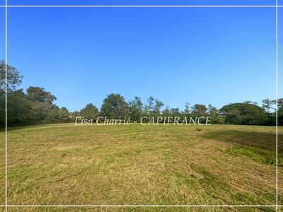 Terrain constructible - 10 455 m²