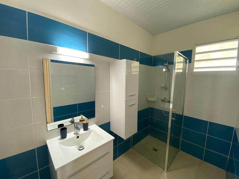 Appartement - 102 m² - 4 pièces