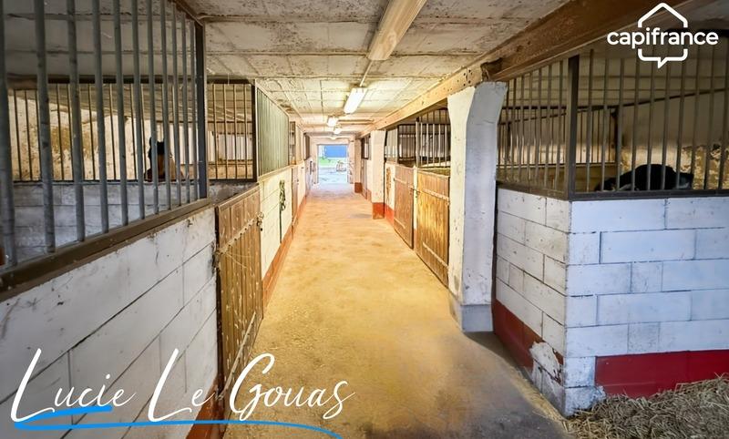 Haras - 239 m² - 9 pièces