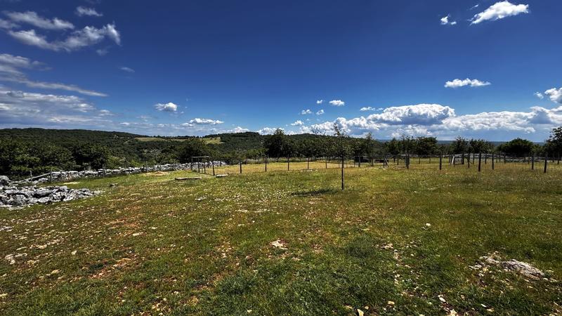 Terrain - 80 524 m²