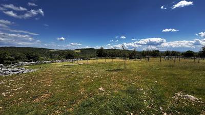 Terrain - 80 524 m²