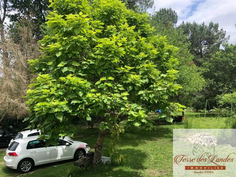 Maison - 118 m² - 6 pièces