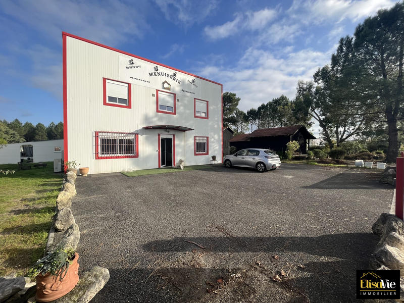 Local commercial - 310 m²