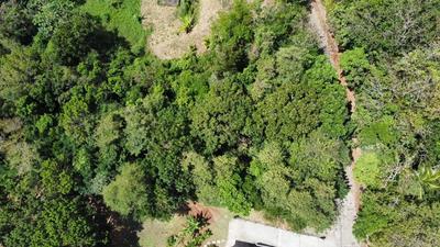 Terrain constructible - 1 981 m²