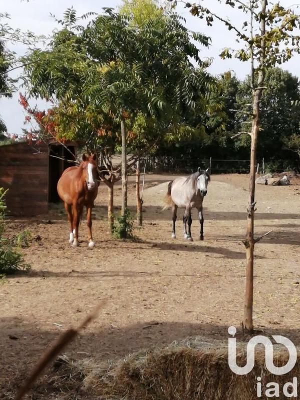 Maison - 188 m² - 6 pièces