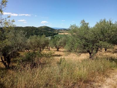 Bastide - 149 m² - 5 pièces