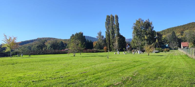 Maison - 246 m² - 7 pièces