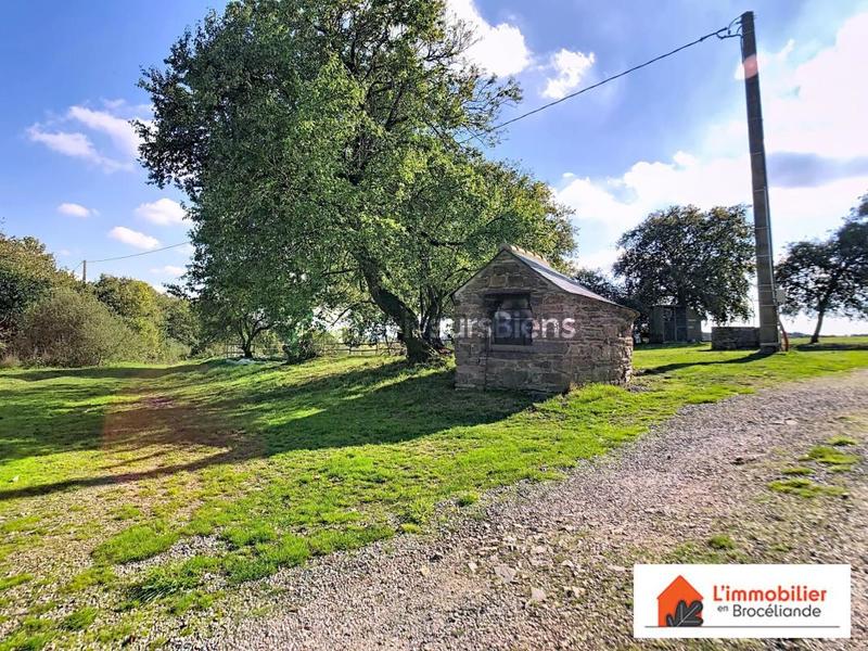 Propriété - 324 m² - 9 pièces