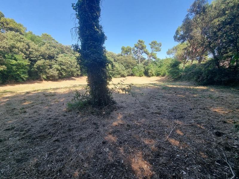 Terrain constructible - 3 058 m²