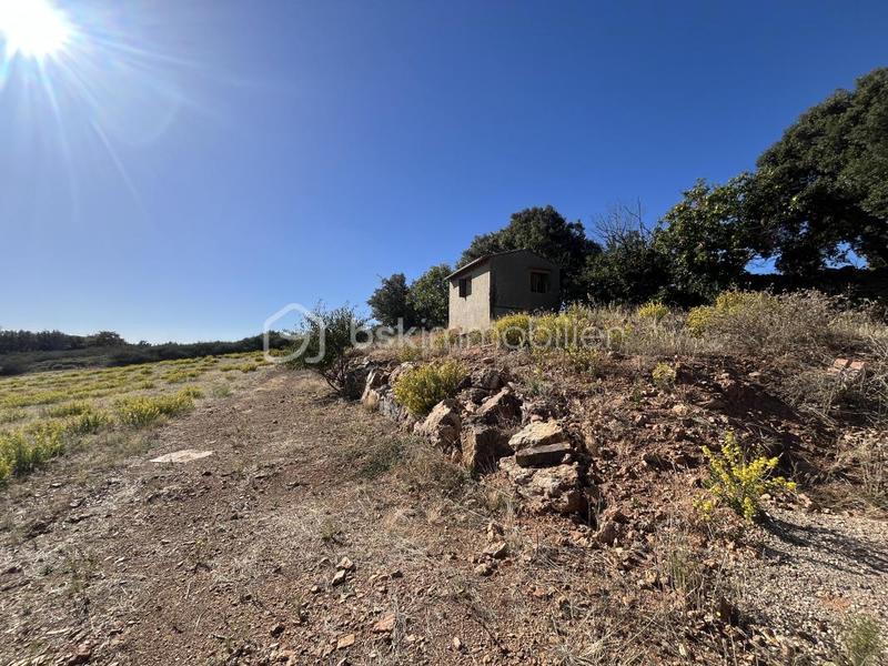 Terrain agricole - 94 430 m²