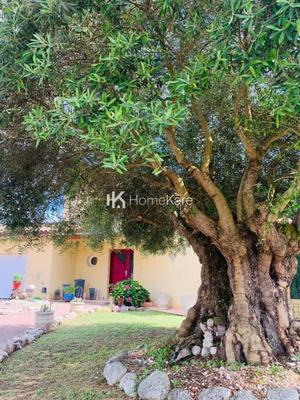 Maison - 190 m² - 5 pièces