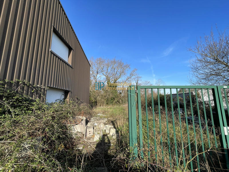 Entrepôt - 569 m²