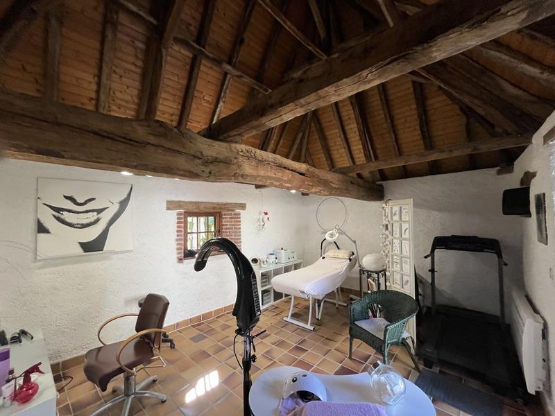 Maison ancienne - 300 m² - 7 pièces