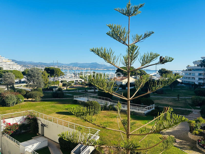 Appartement - 29 m² - 2 pièces