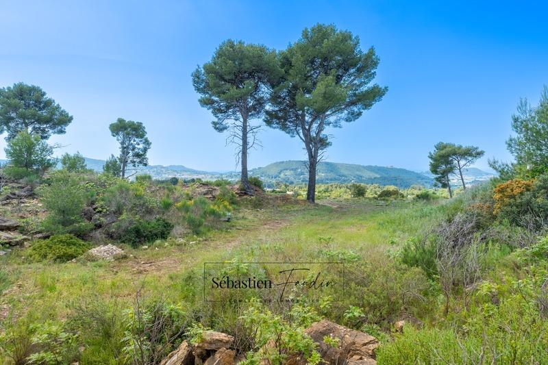 Terrain agricole - 7 720 m²