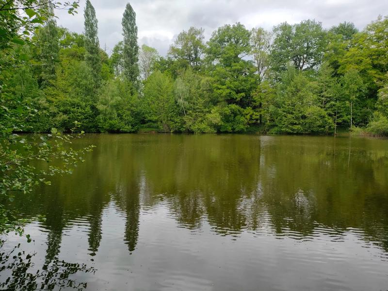 Terrain - 14 125 m²