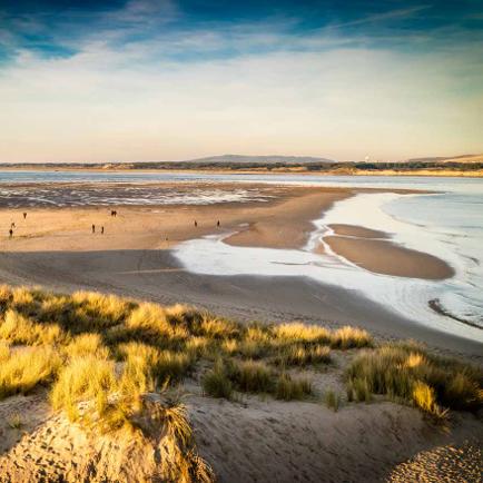 Appartement - 77 m² - 3 pièces