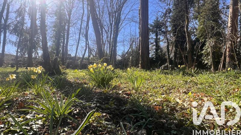 Maison - 300 m² - 10 pièces