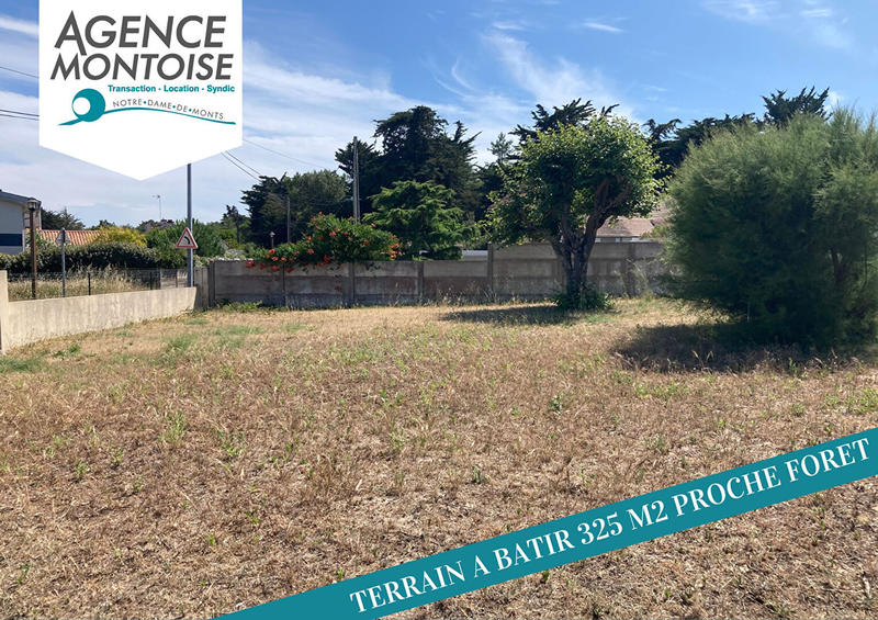Terrain - 325 m²