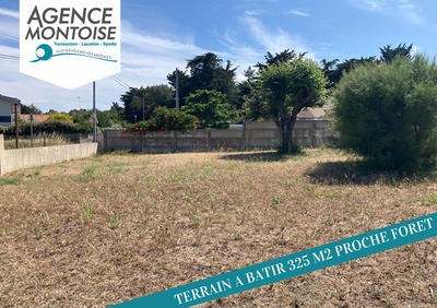 Terrain - 325 m²