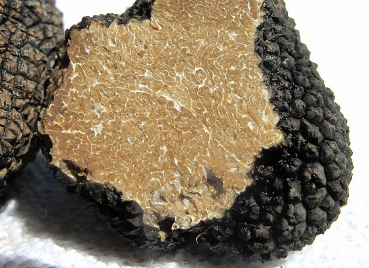 Marché au gras &amp; aux truffes