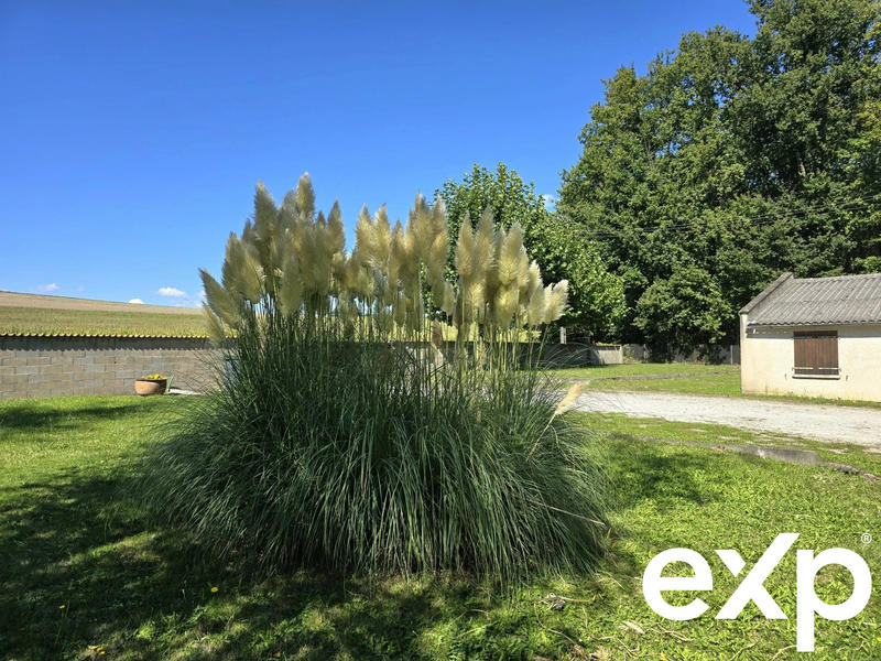 Maison - 315 m² - 10 pièces