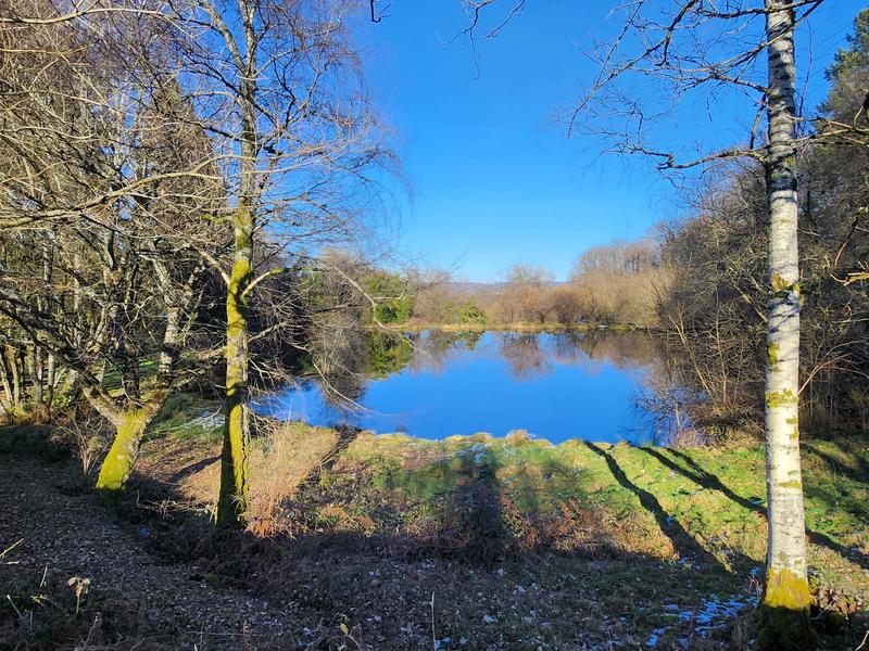 Propriété - 248 m² - 11 pièces