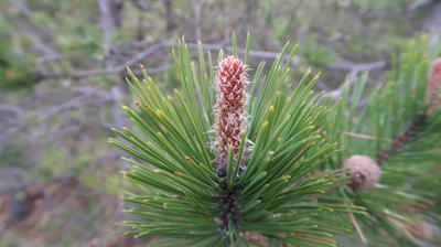 Terrain - 355 899 m²