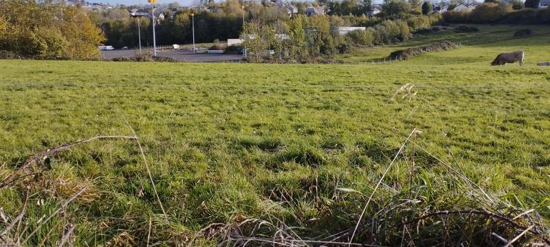 Terrain - 10 000 m²